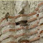 древняя кладка